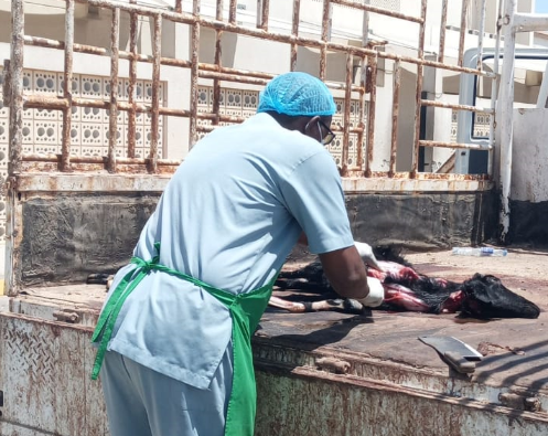 Expats arrested in Oman for running illegal slaughterhouse