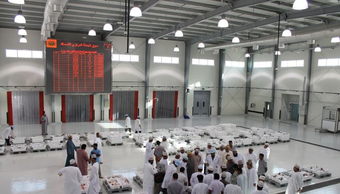 مبيعات سوق الجملة المركزي للأسماك تزيد على 810 آلاف ريال