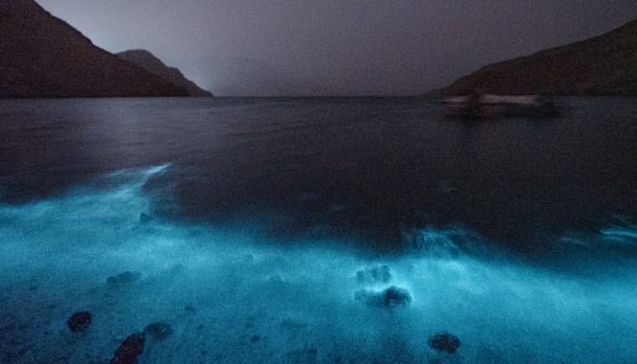 'سي ان ان' تنشر تقريرًا لمصور عماني وثق ظاهرة البحر المضيء