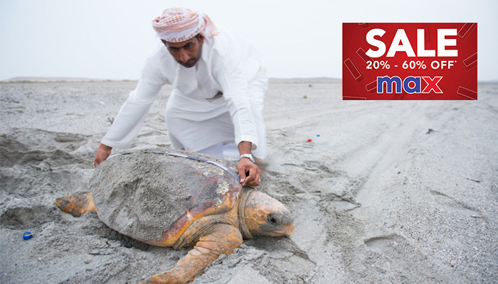 Wildlife protection highlighted in Oman on World Turtle Day