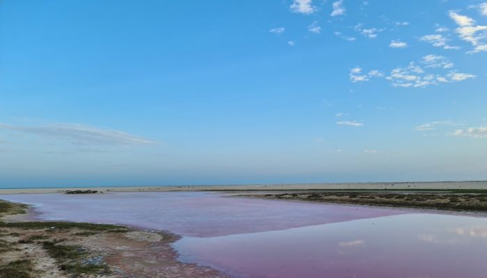 البُحيرات الوردية..أشهر الوجهات السياحية  بالجازر