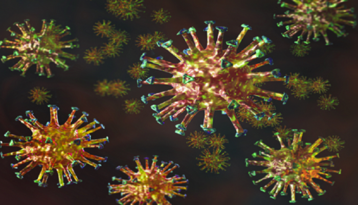 اكتشاف نوع جديد من فيروسات كورونا مجهول المصدر في البرازيل