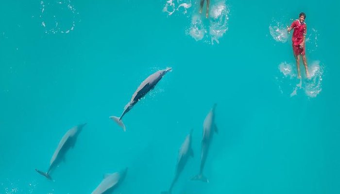 Breathtaking pictures of children swimming with dolphins