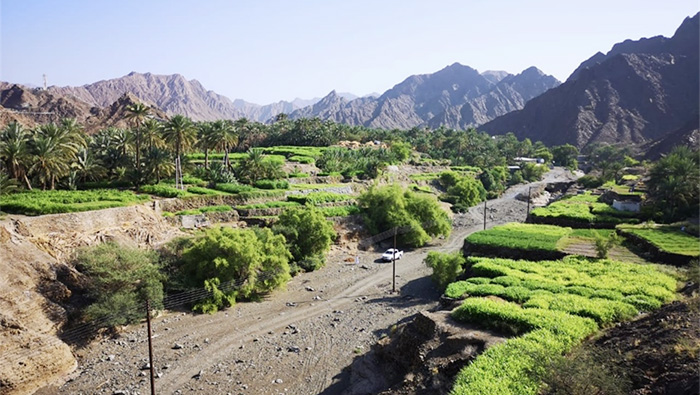 We Love Oman: Picturesque nature at Blida in Ibri