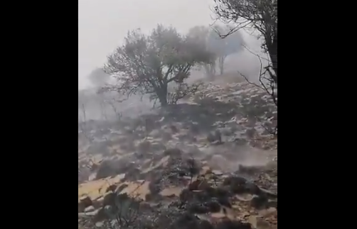 نشوب حريق في أشجار بولاية الحمراء.. والدفاع المدني: لا خطورة على السكان