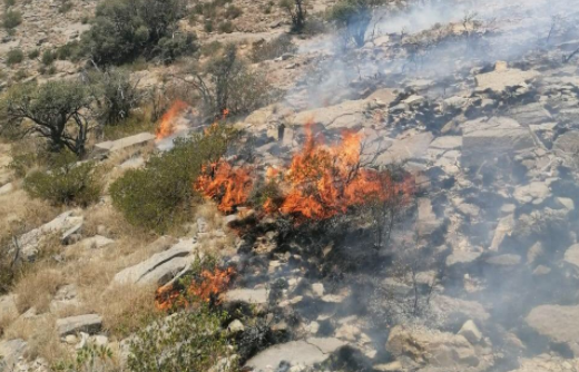 جهود متواصلة لاحتواء حريق منطقة رأس الحرق بولاية الحمراء