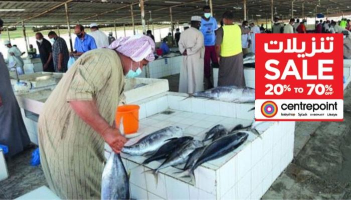 ارتفاع إجمالي كمية الأسماك المنزلة