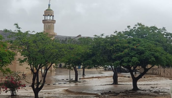 بالصور.. أمطار الخير تواصل غيثها على رخيوت