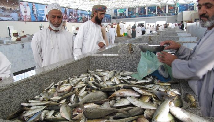 خلال يونيو: انخفاض أسعار الأسماك في الأسواق المحلية بمحافظات السلطنة