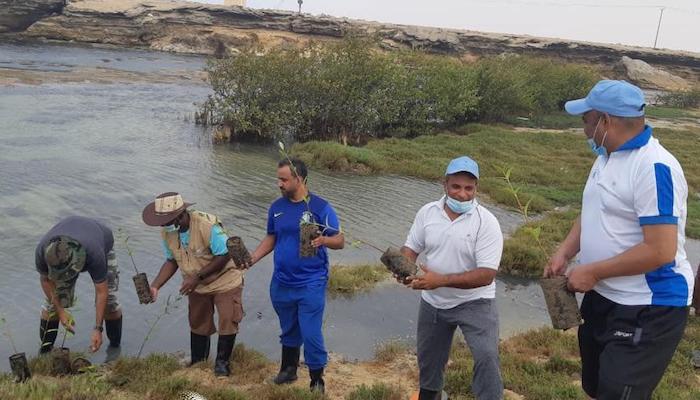 Environment Authority plants 1,000 saplings in Dhofar Governorate