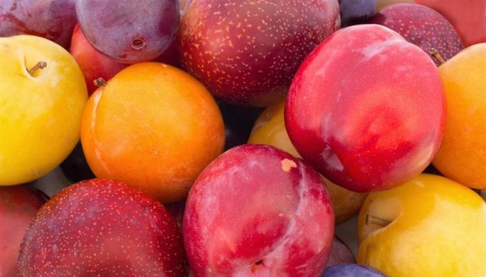 الخوخ والبرقوق... أيهما يفيد الصحة أكثر؟