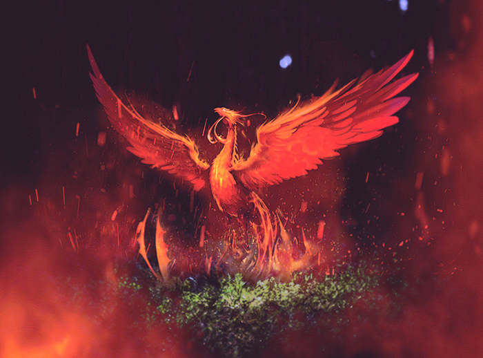 Phoenix rising from the ashes
