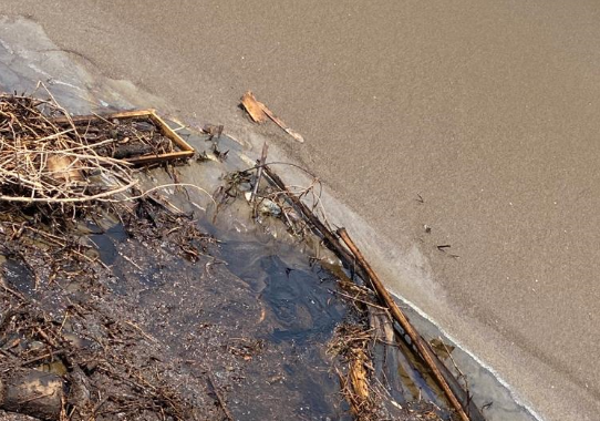 Oil spill near Sohar Port, clean-up operations underway