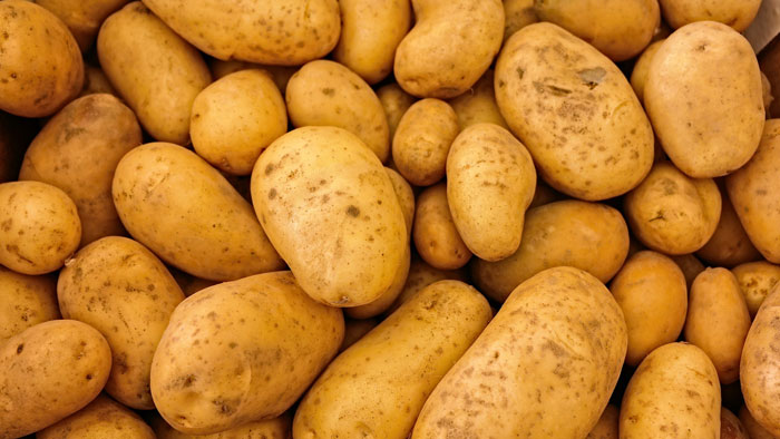 إتلاف 1010 كجم من البطاطا في ينقل