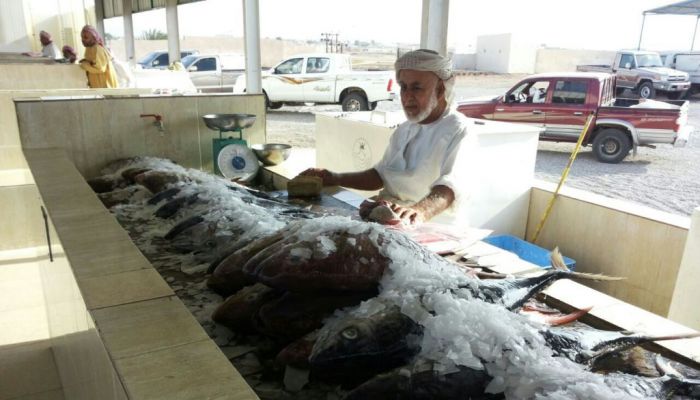 استمرار انخفاض أسعار الأسماك في الأسواق المحلية