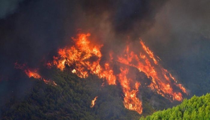 اليونان تسيطر على الحرائق التي اجتاحت البلاد