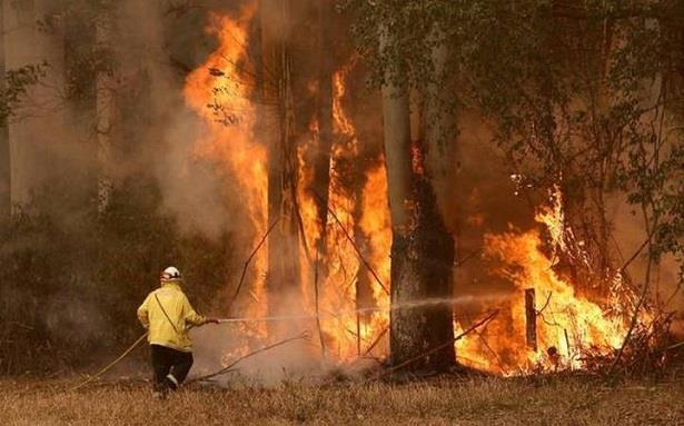 حرائق الغابات تندلع في جنوب البرتغال