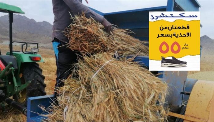 647 من نحالي ومزارعي ينقل استفادوا من البرامج الإرشادية والبيطرية
