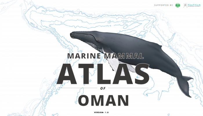 جمعية البيئة العُمانية تُصدر أطلسًا  يُسلّط الضوء على الحيتان والدلافين في بحار السلطنة
