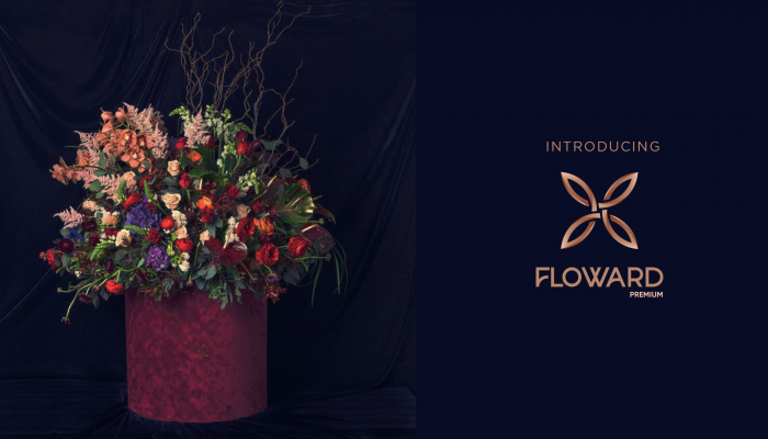 Floward Premium Luxurious shopping experience from Floward