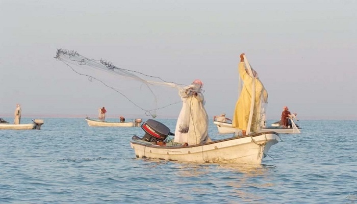 Shrimp fishing season commences in Oman