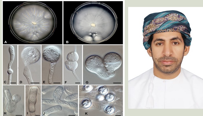 Researchers in Oman reveal  new disease causing fungus