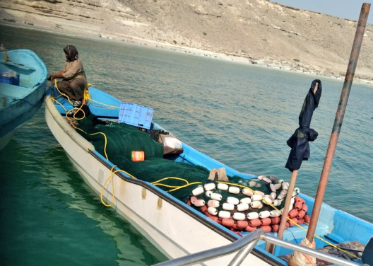 Three expats arrested for illegal fishing in Duqm