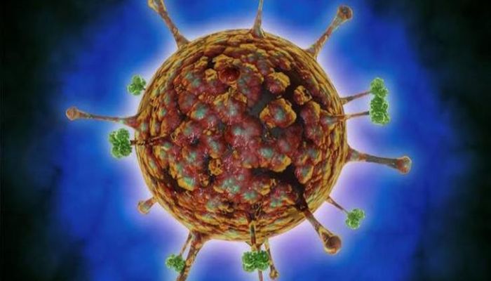 عالمة تحذّر: ربما متغير من نوع دلتا فيروس نيباه يكون’التهديد الوبائي القادم’