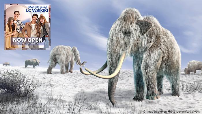 Biotech firm says it can resurrect extinct woolly mammoth