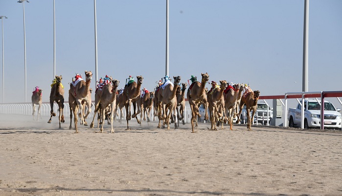 Sayyid Theyazin to patronise Oman Camel Racing Federation closing ceremony