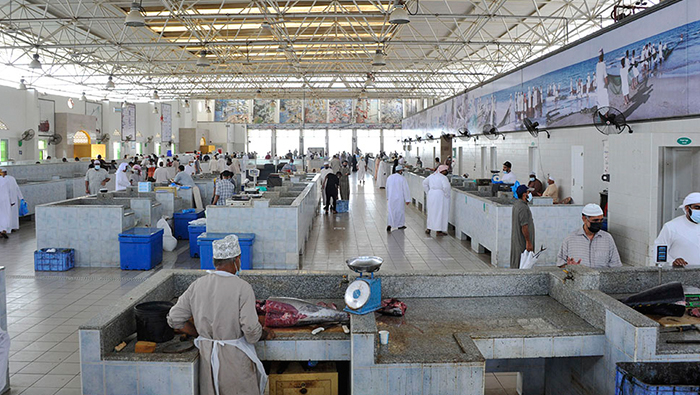 Total value of fish stock in August stood at OMR243.78mn