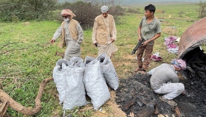 Expat arrested in Oman for cutting trees for firewood