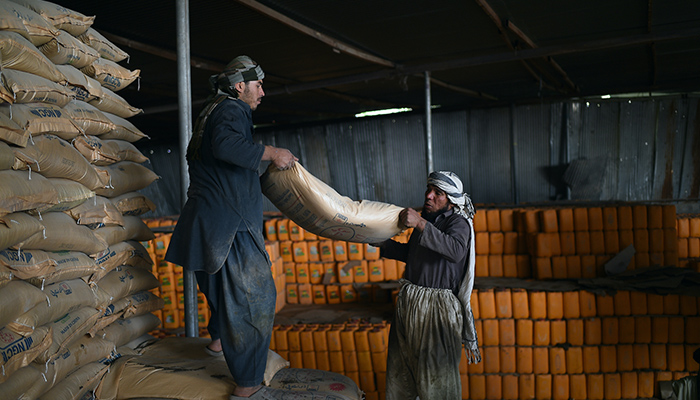 World food import bill to reach record high in 2021: FAO