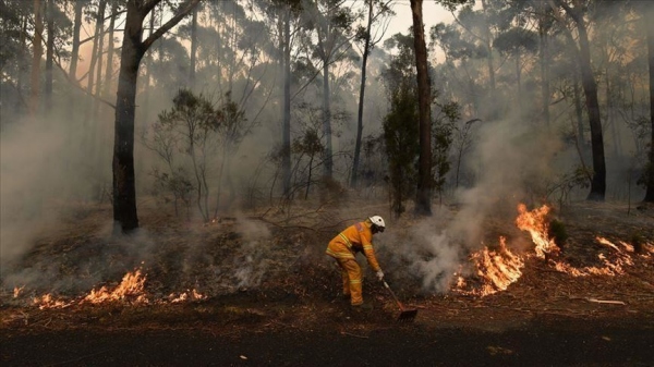 ولاية أستراليا الغربية تحذر من حرائق غابات قرب عاصمتها بيرث