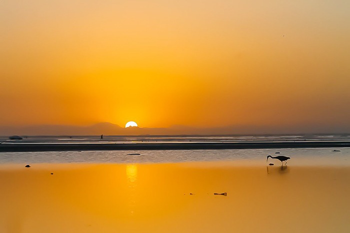 This weekend watch the sunrise or sunset at Oman's beautiful beaches