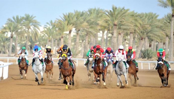 مدير عام الخيالة السلطانية: نخبة الخيول تتنافس على كأس العيد الوطني