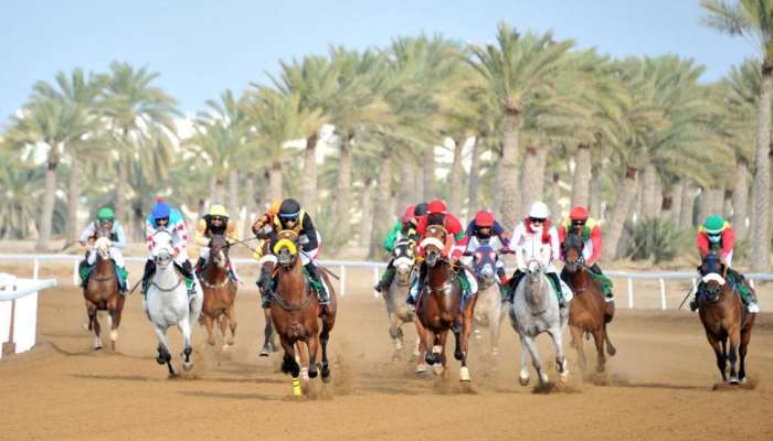 Royal Horse Racing Club to organise seventh race in South Al Batinah