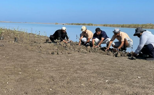 Environment Authority plants over 2,000 saplings in South Al Batinah
