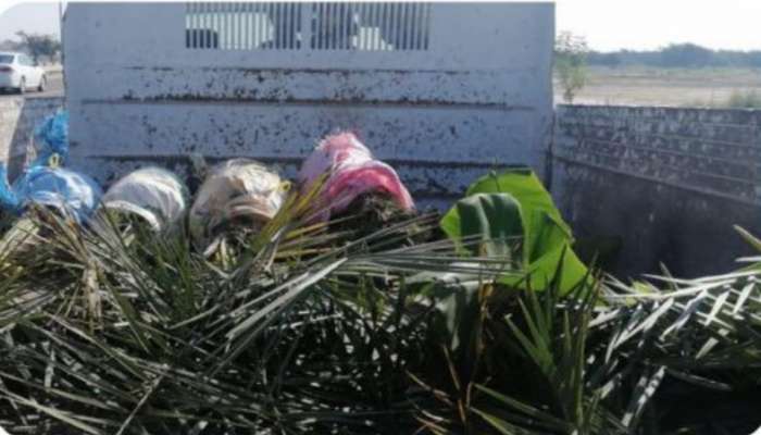 Citizen arrested for supplying date palm offshoots in Oman