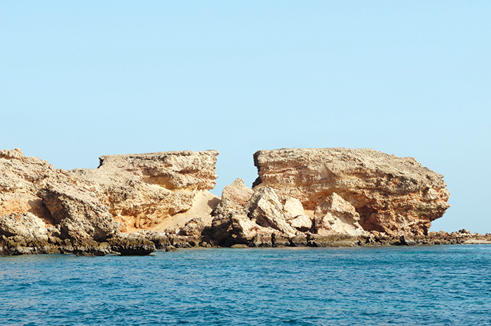 We Love Oman: For the love of diving