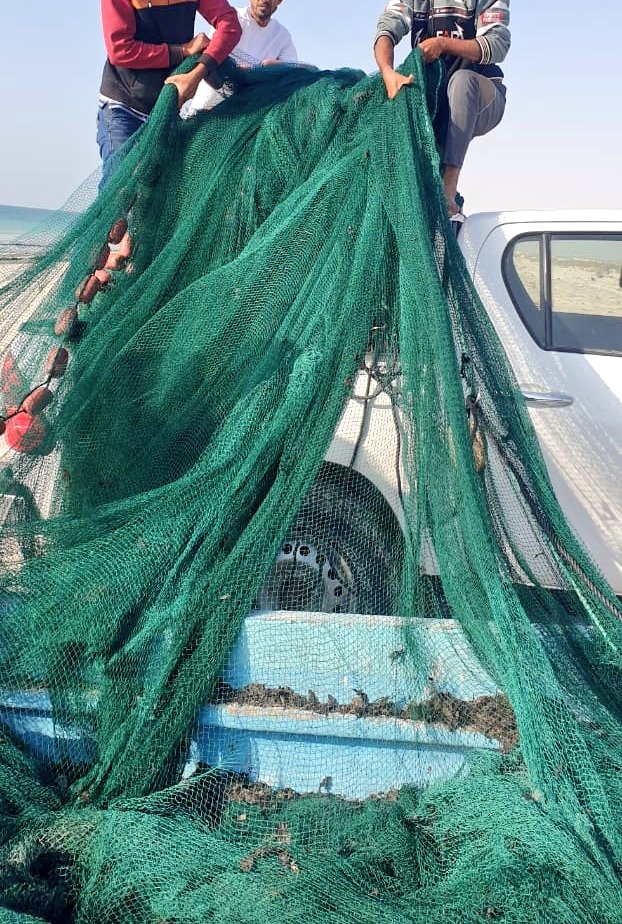 ضبط شباك صيد تحويط مخالفة في الجازر