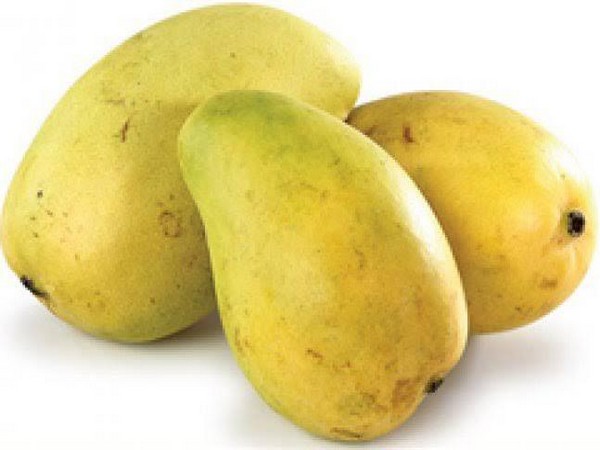 Indian mangoes and pomegranates get market access in the USA