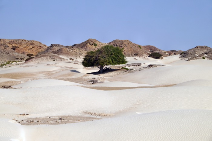 We Love Oman: Breathtaking sugar dunes at Al Khaluf