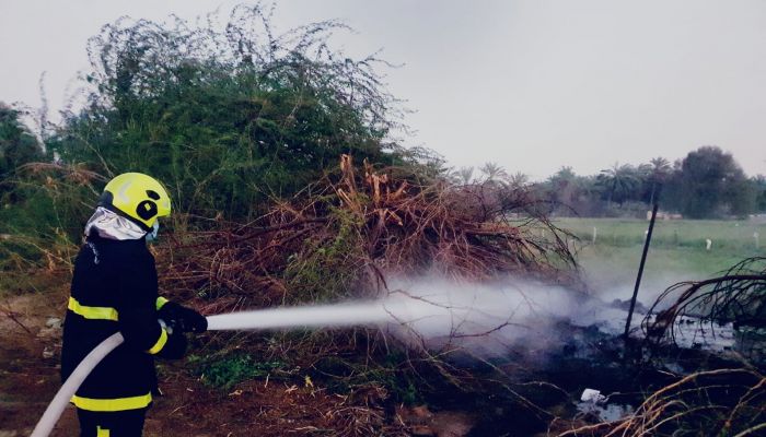 الدفاع المدني يتعامل مع حريق في أحد المزارع بولاية صحار