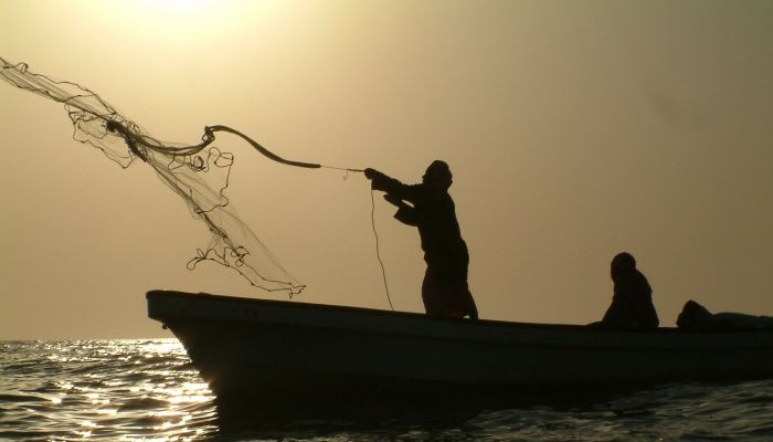 الوسطى  تتصدر قائمة الإنتاج السمكي في 2021