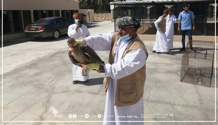 Injured birds rescued in Dhofar