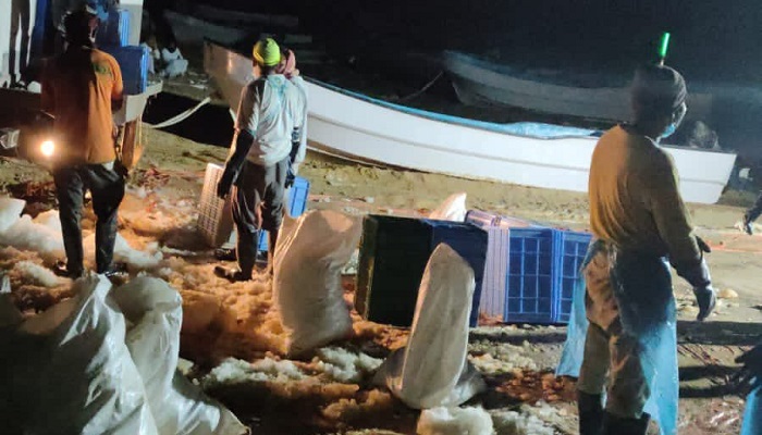 Expats arrested for illegal fishing in South Al Sharqiyah