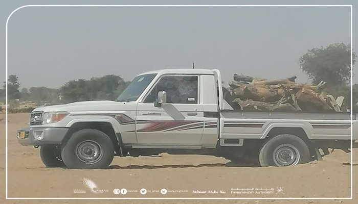 Citizen arrested for illegal logging operation in Oman