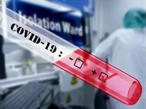 Rapid PCR test no more required for travel from India to Dubai