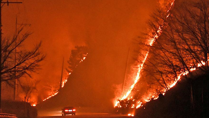 Wildfire in South Korea triggers mass evacuation